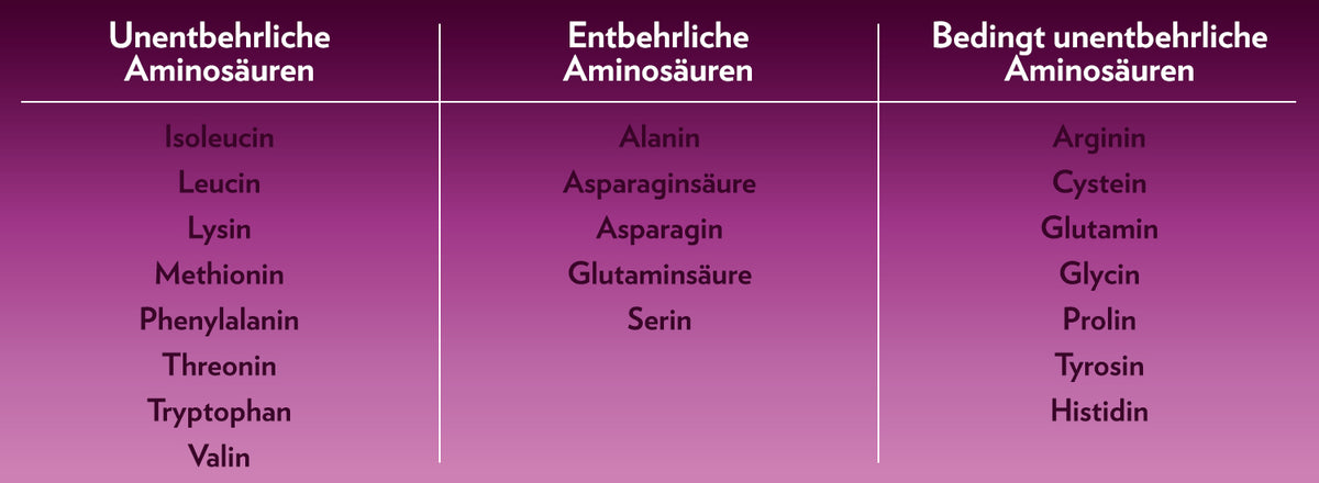 1500_InfoEiweiss_2