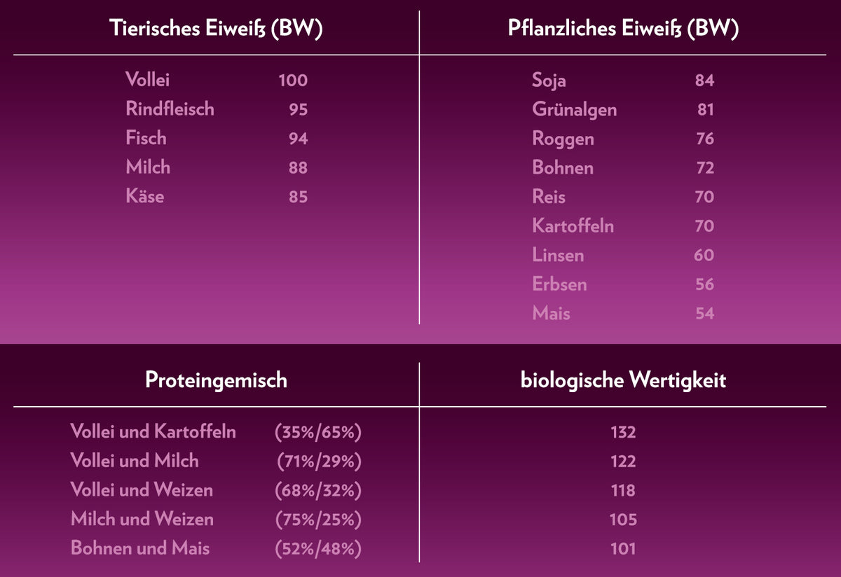 1500_InfoEiweiss_4