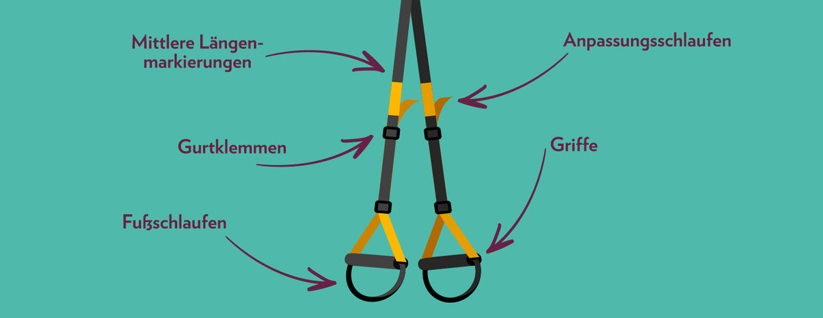 1500_TRX