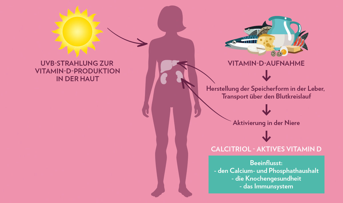 Vitamin D - Sonne & Ernährung