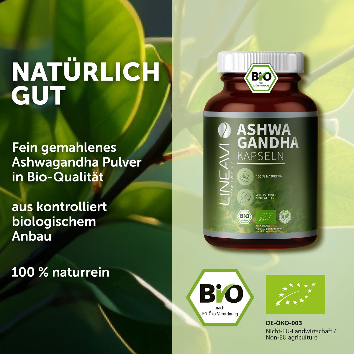 Bio Ashwagandha Kapseln (150 Kapseln)