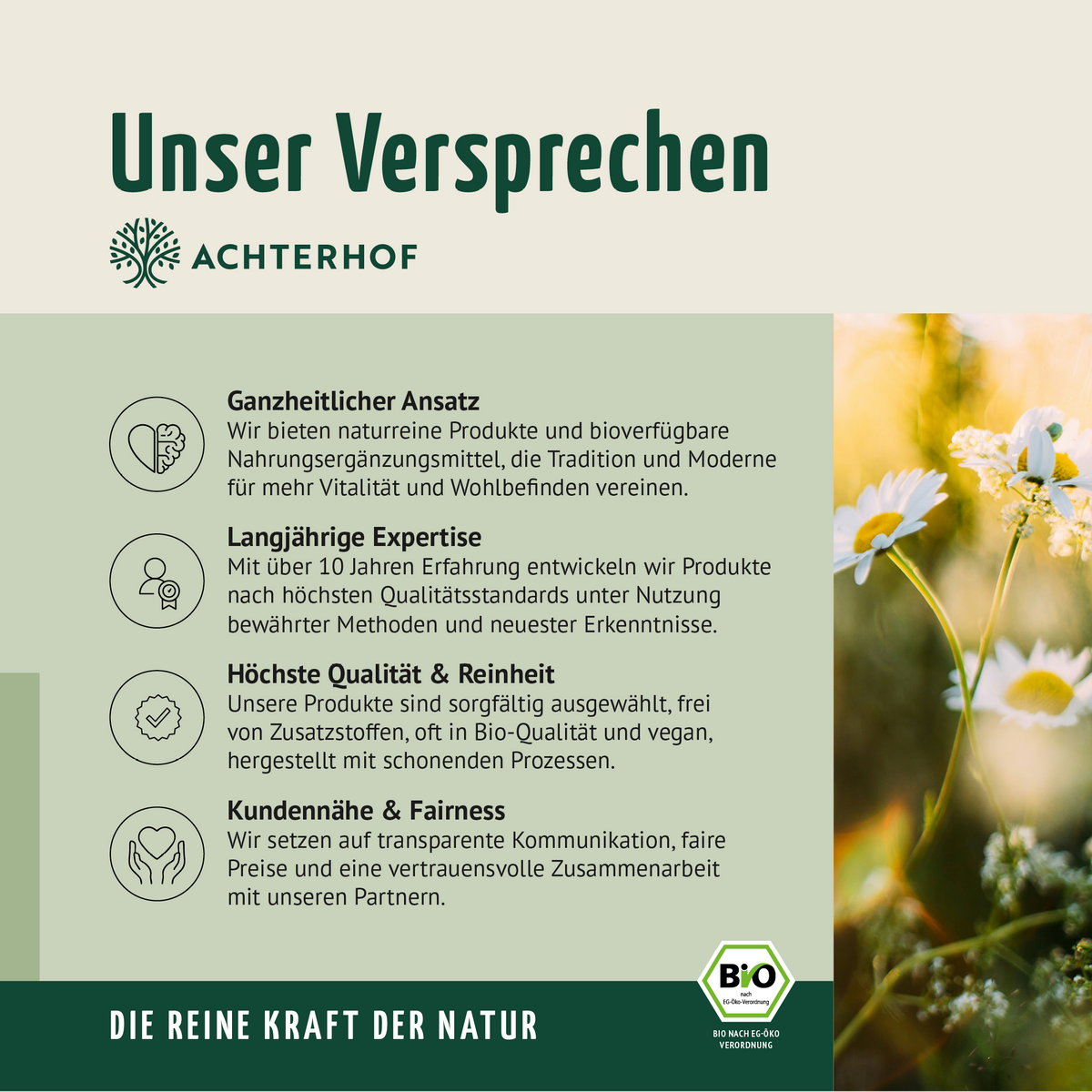 Bio Bitter Kräutermischung gemahlen (100g)
