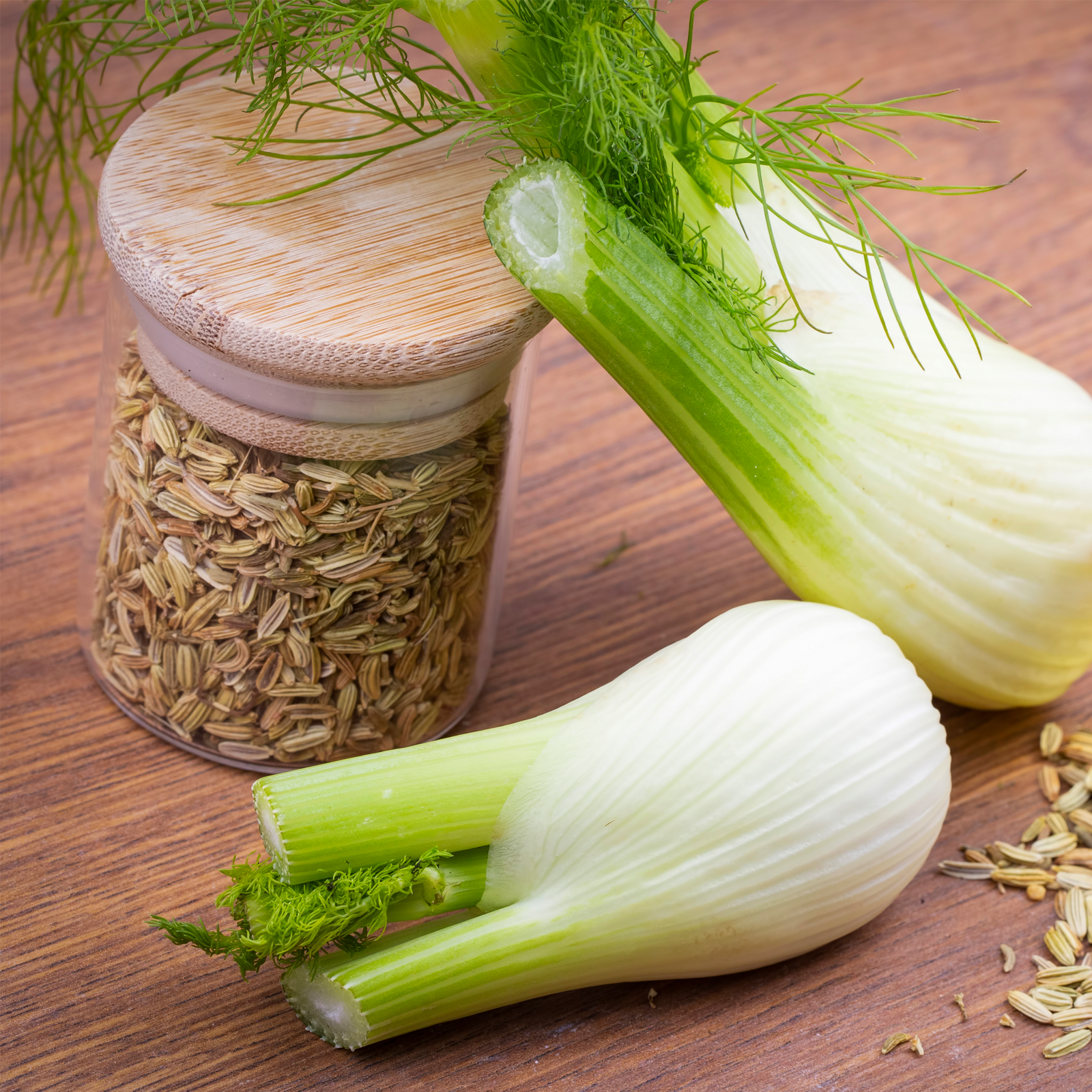 Fenchelsamen ganz (250g)
