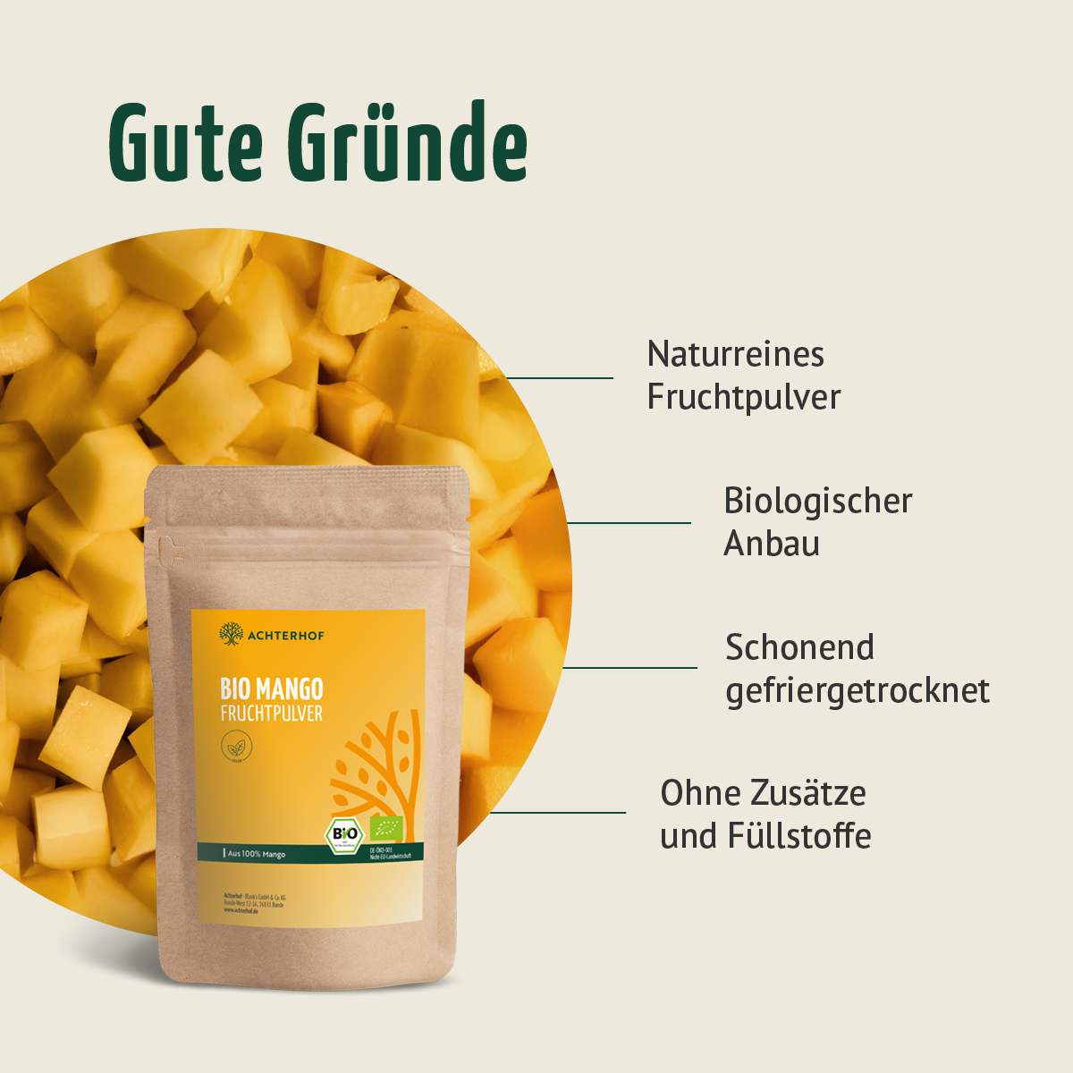 Bio Mango Fruchtpulver (100g)