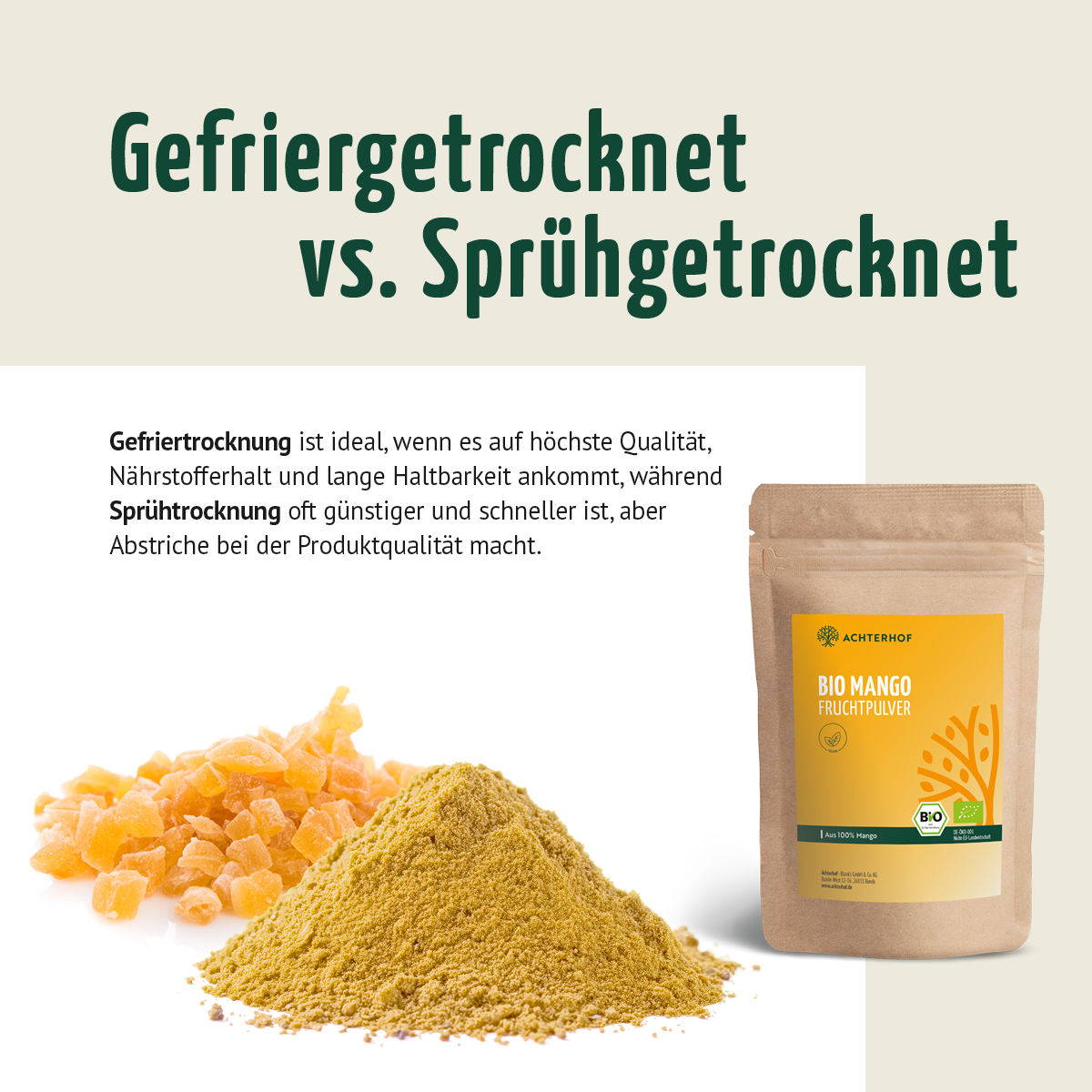 Bio Mango Fruchtpulver (100g)