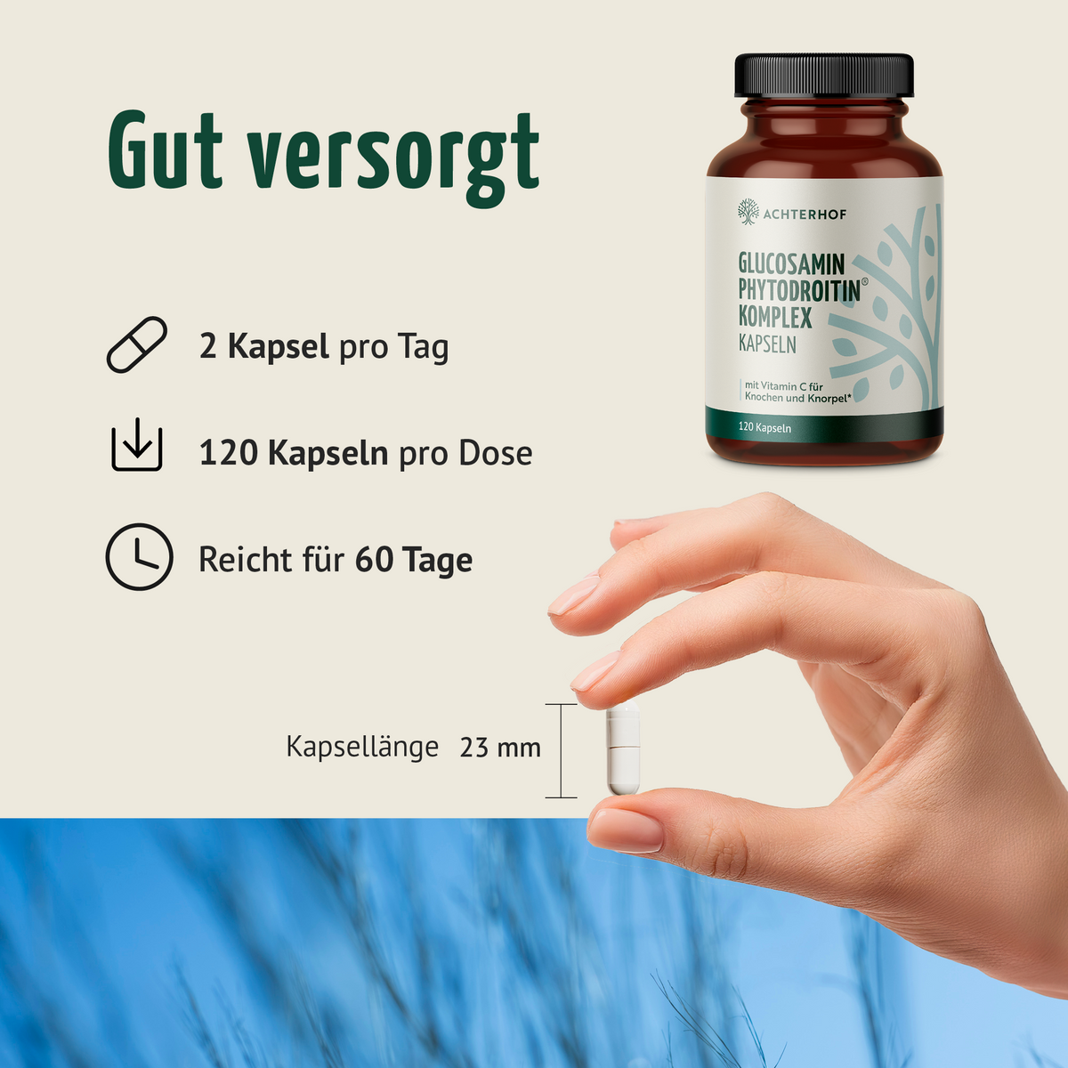 Glucosamin Phytodroitin® Komplex (120 Kapseln)