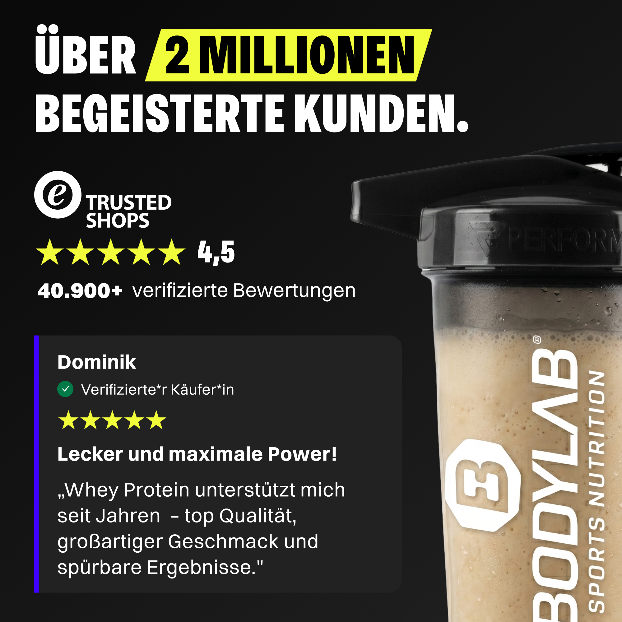 Whey Protein (1000g)