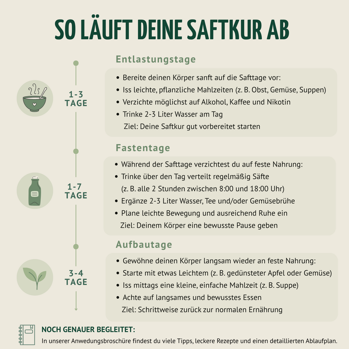 Kräuterwunder Bio Fastenkur 1-7 Tage (6 Flaschen pro Tag)