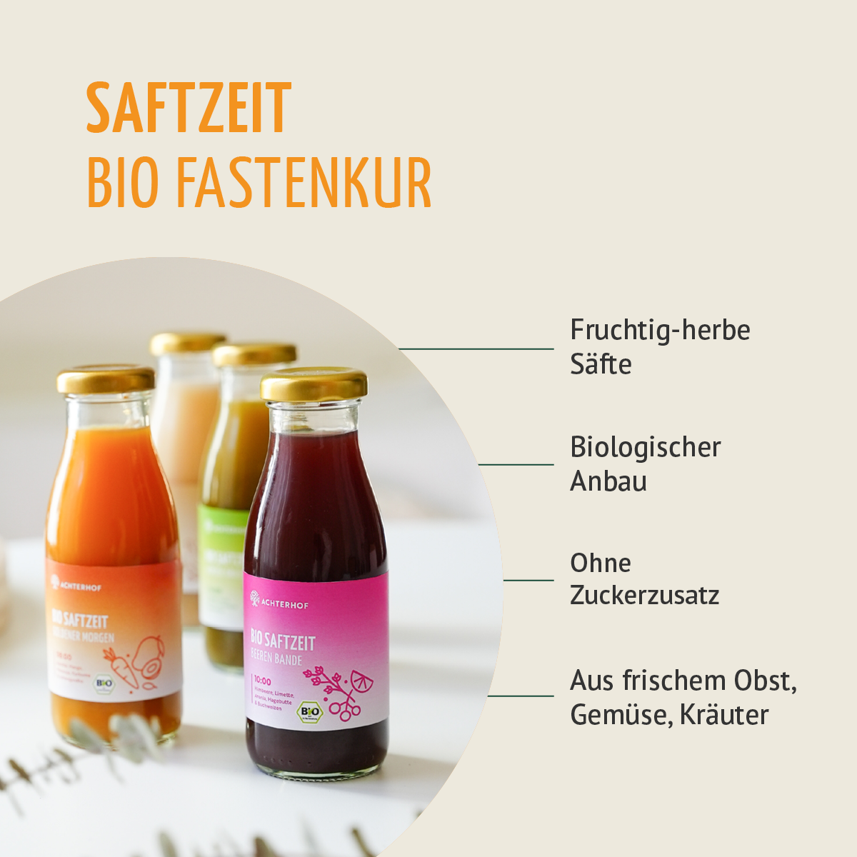 Saftzeit Bio Fastenkur 1-7 Tage (6 Flaschen pro Tag)