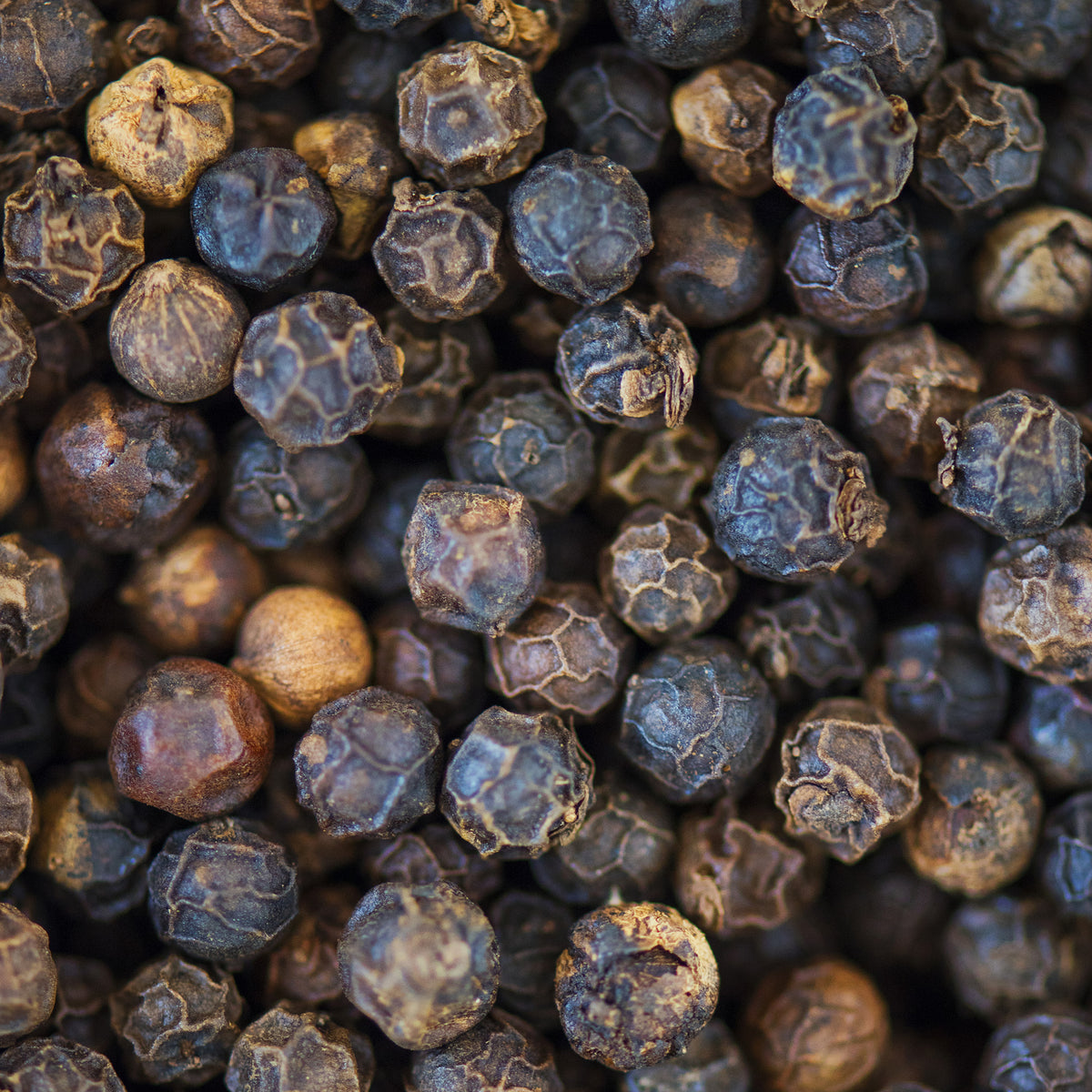 Tellicherry Pfeffer ganz (500g)