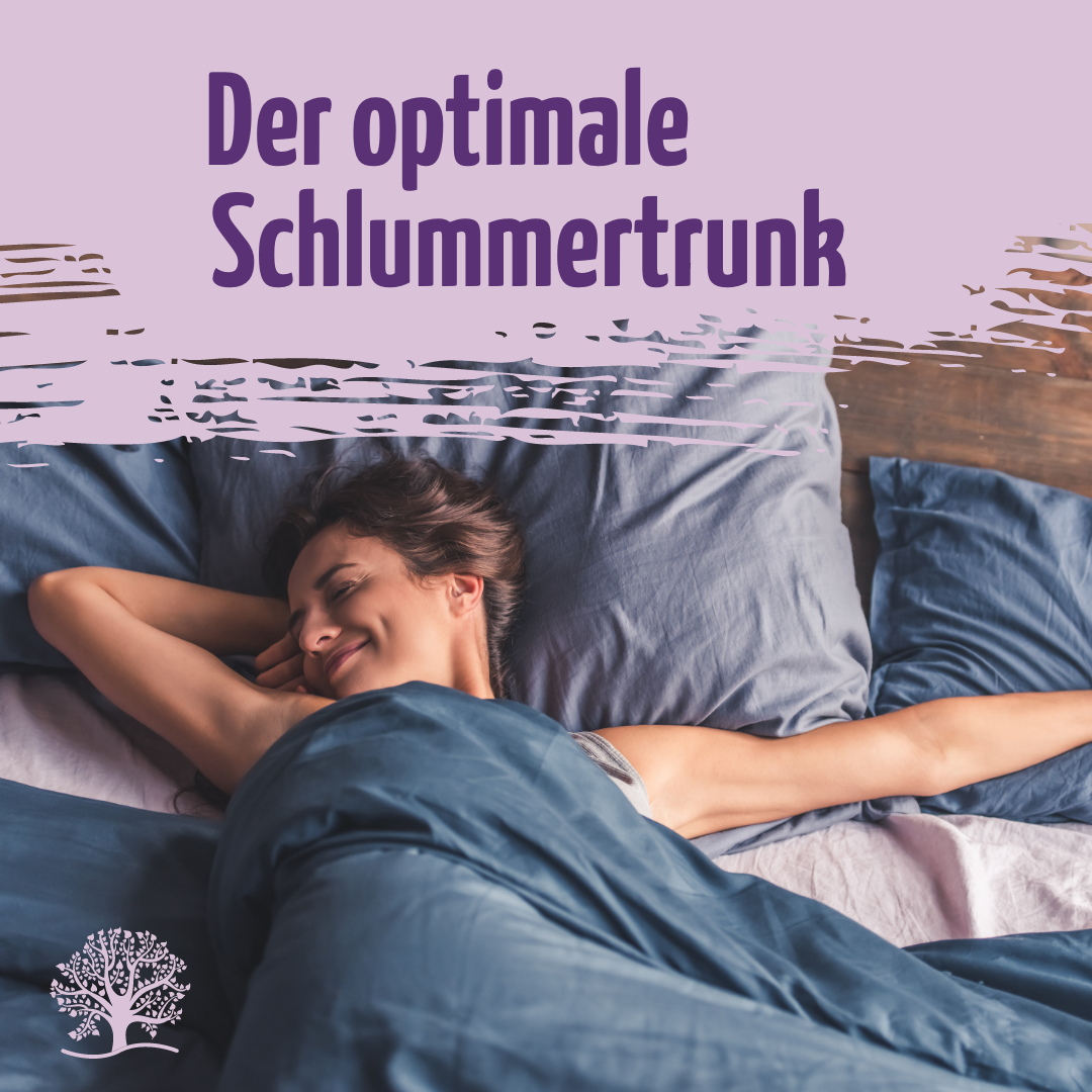Mond Milch Probierset Bio