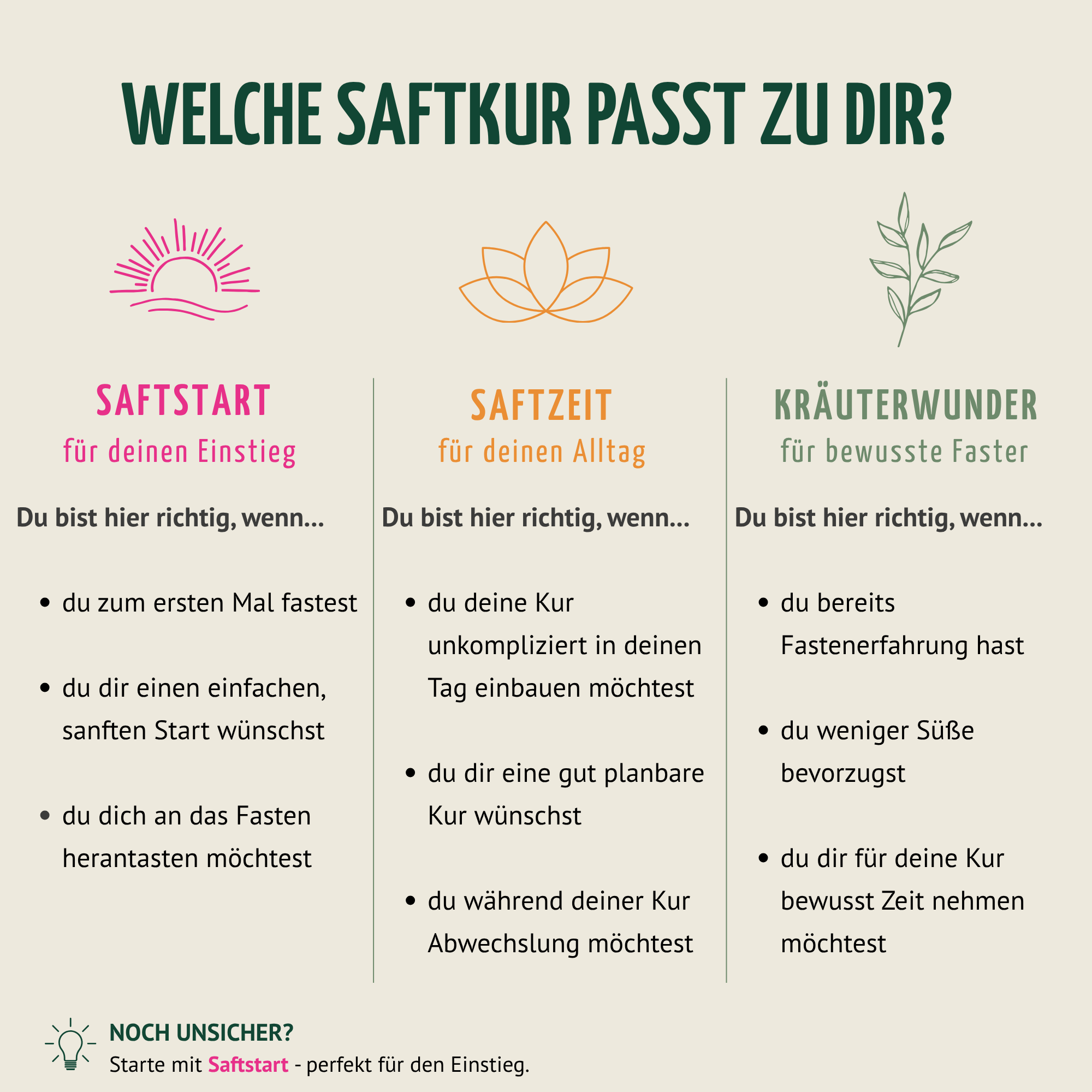 Saftzeit Bio Fastenkur 1-7 Tage (6 Flaschen pro Tag)