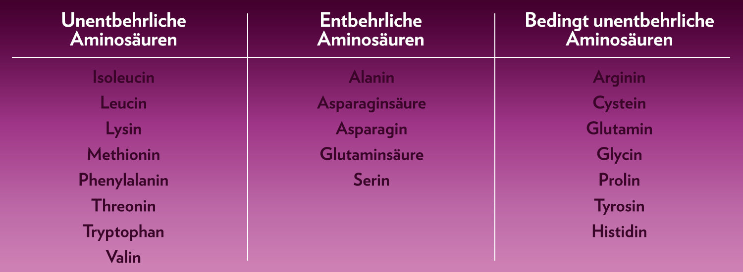 1500_InfoEiweiss_2