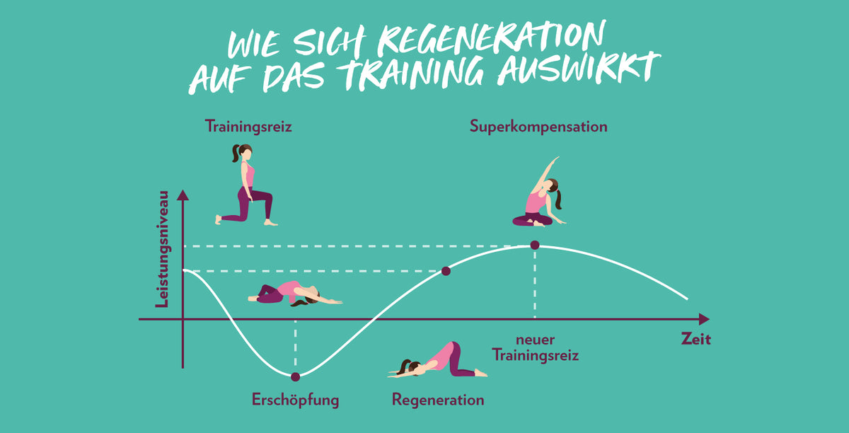 1500_Regeneration_Grafik1