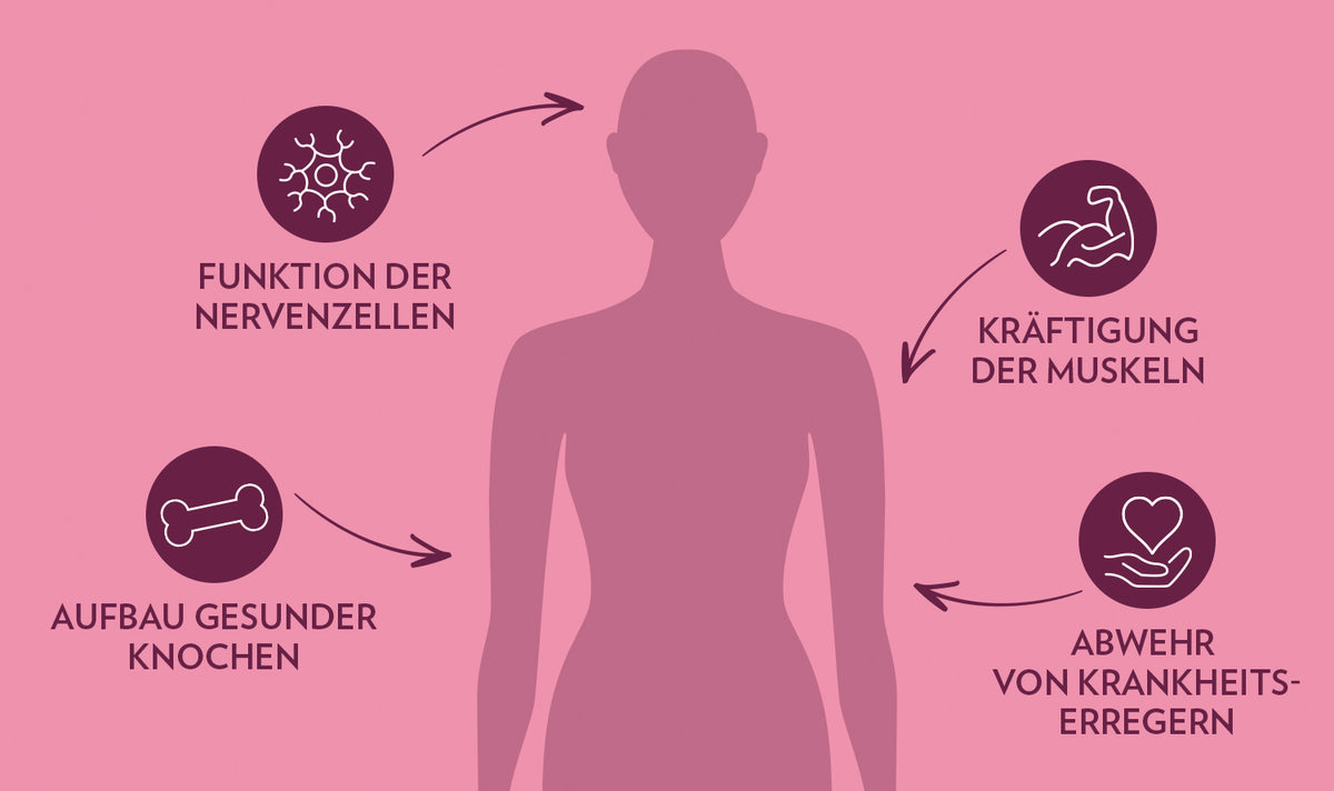 Vitamin D - wichtig für Knochen &amp; Muskelkraft