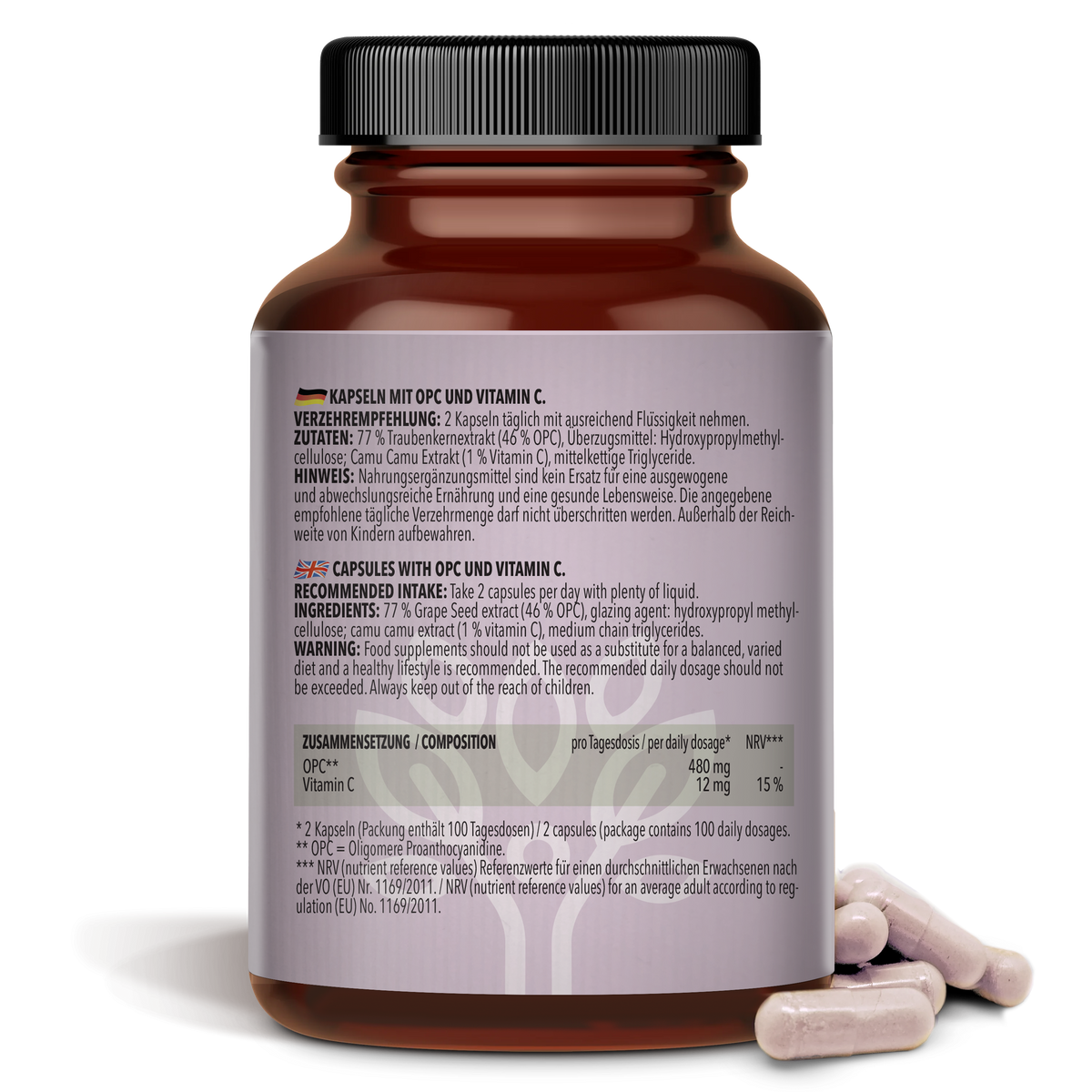 OPC Traubenkernextrakt + Vitamin C (200 Kapseln)