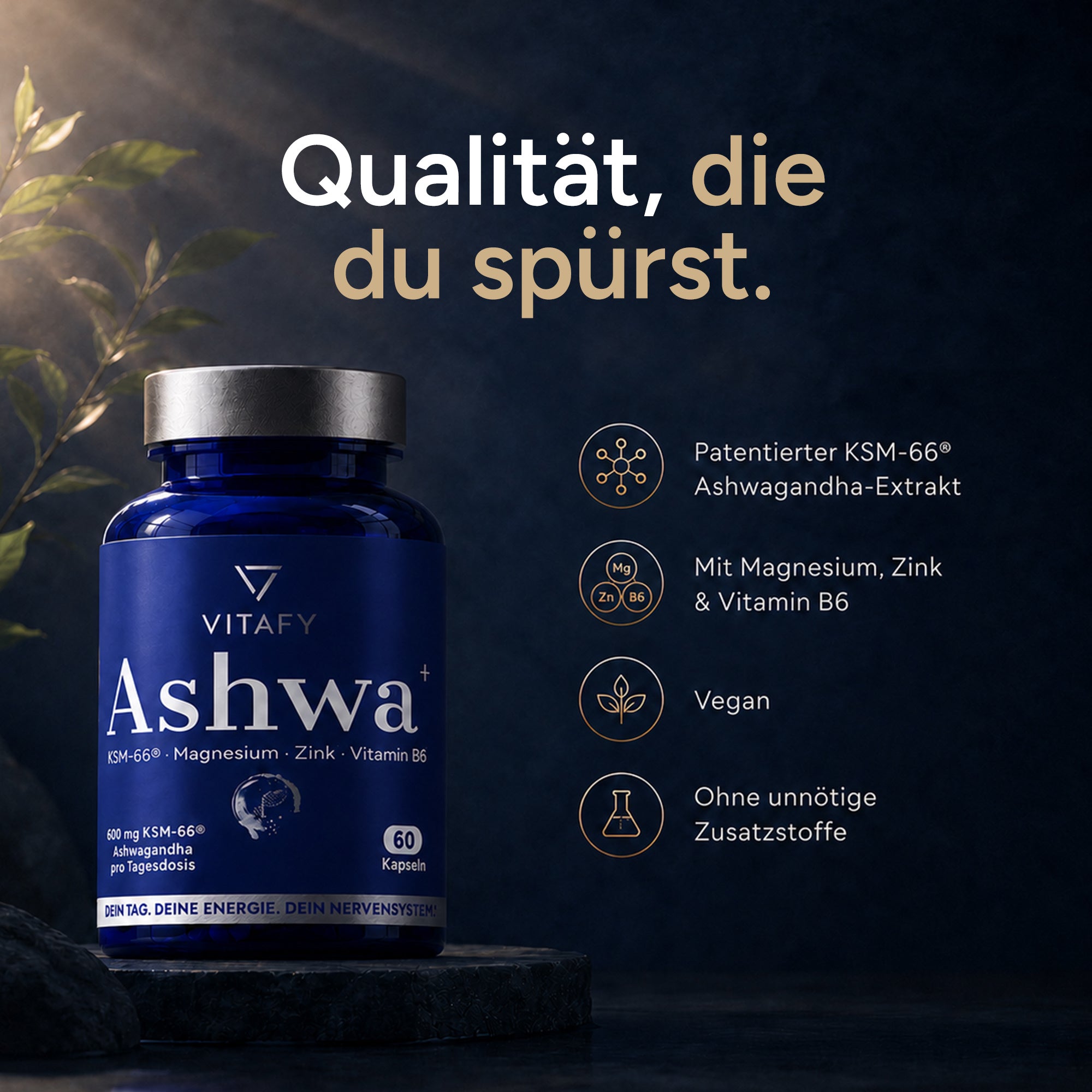Ashwa+ Ashwagandha KSM-66® mit Magnesium, Zink & Vitamin B6 (60 Kapseln)