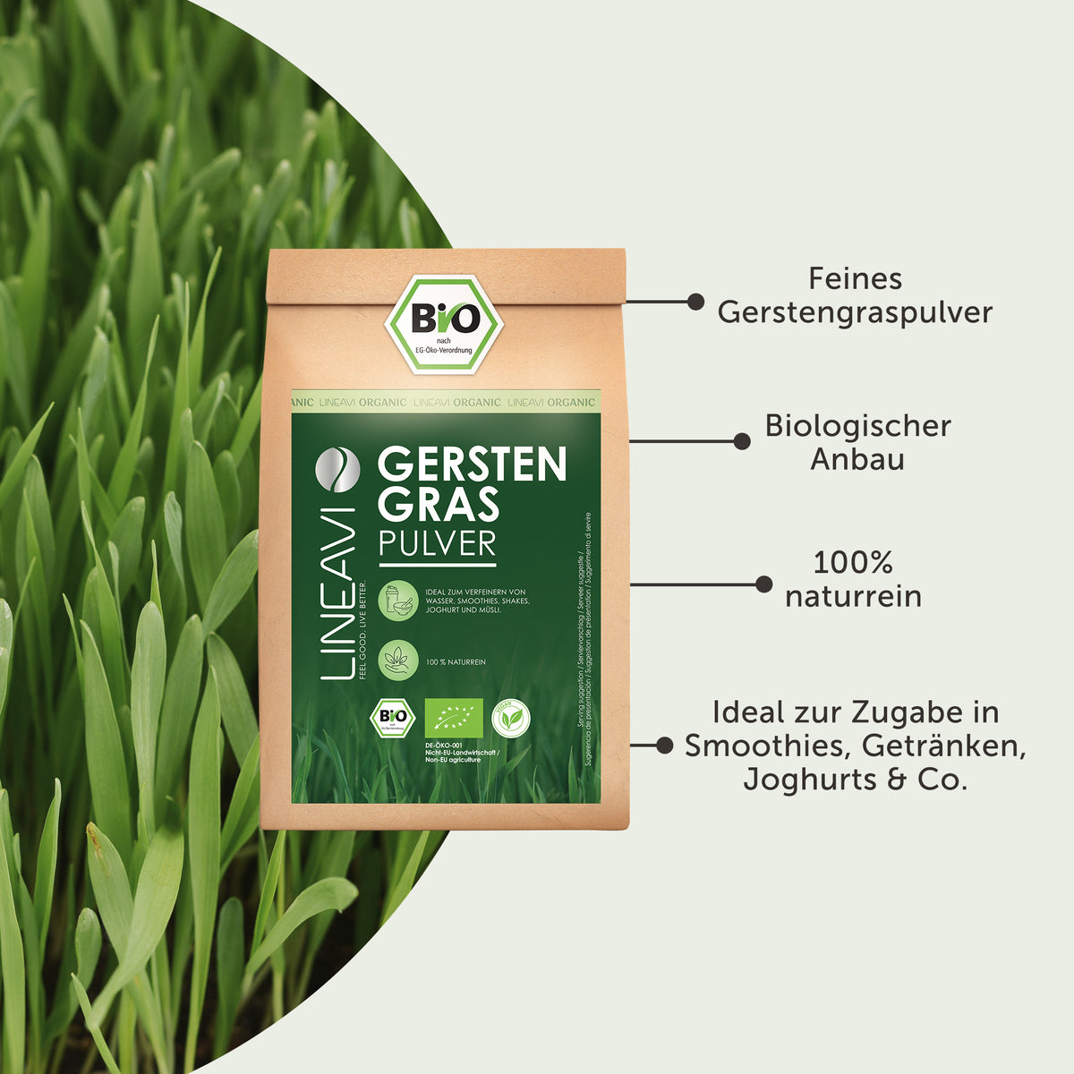 Bio Gerstengraspulver (1000g)