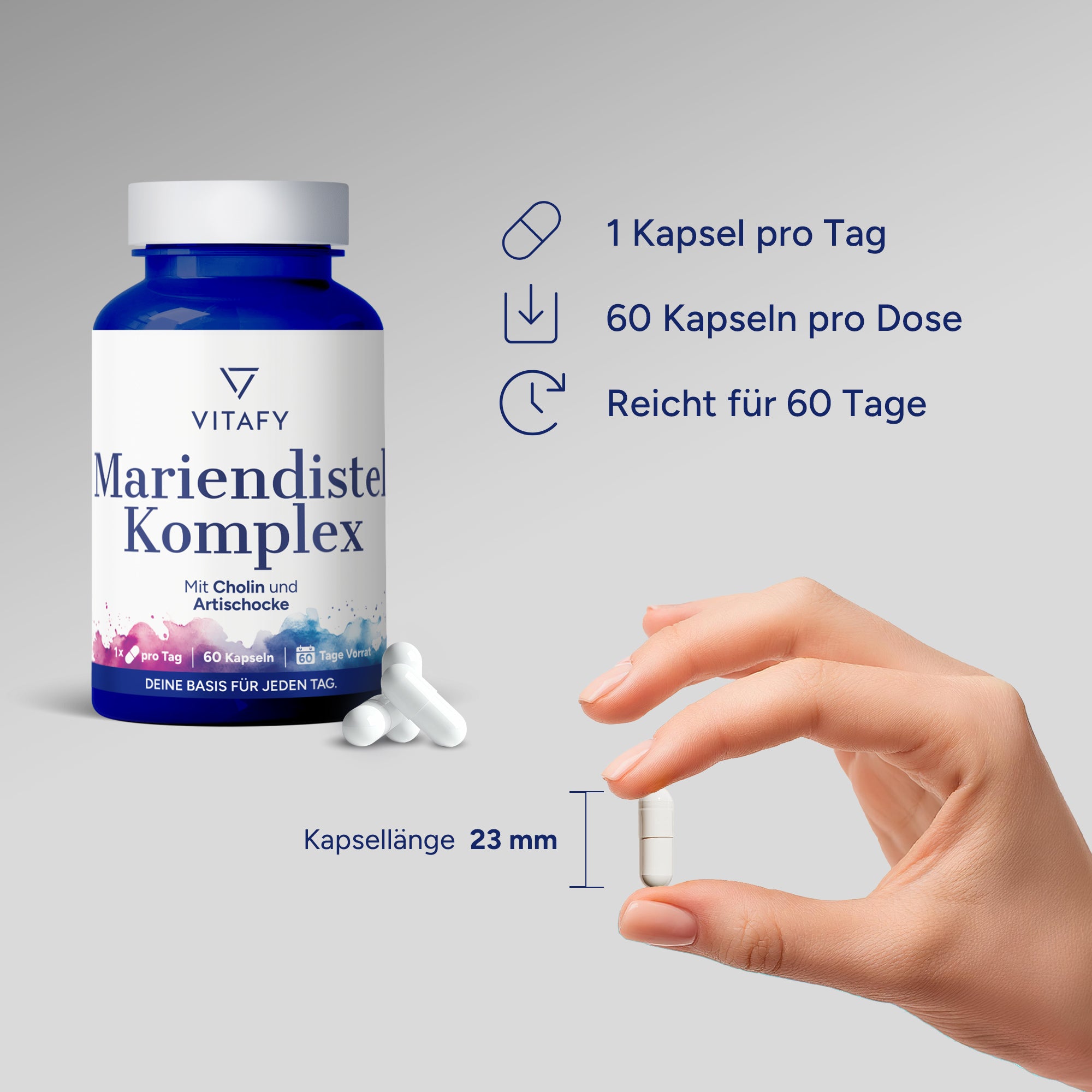 Mariendistel Komplex Kapseln (60 Kapseln)