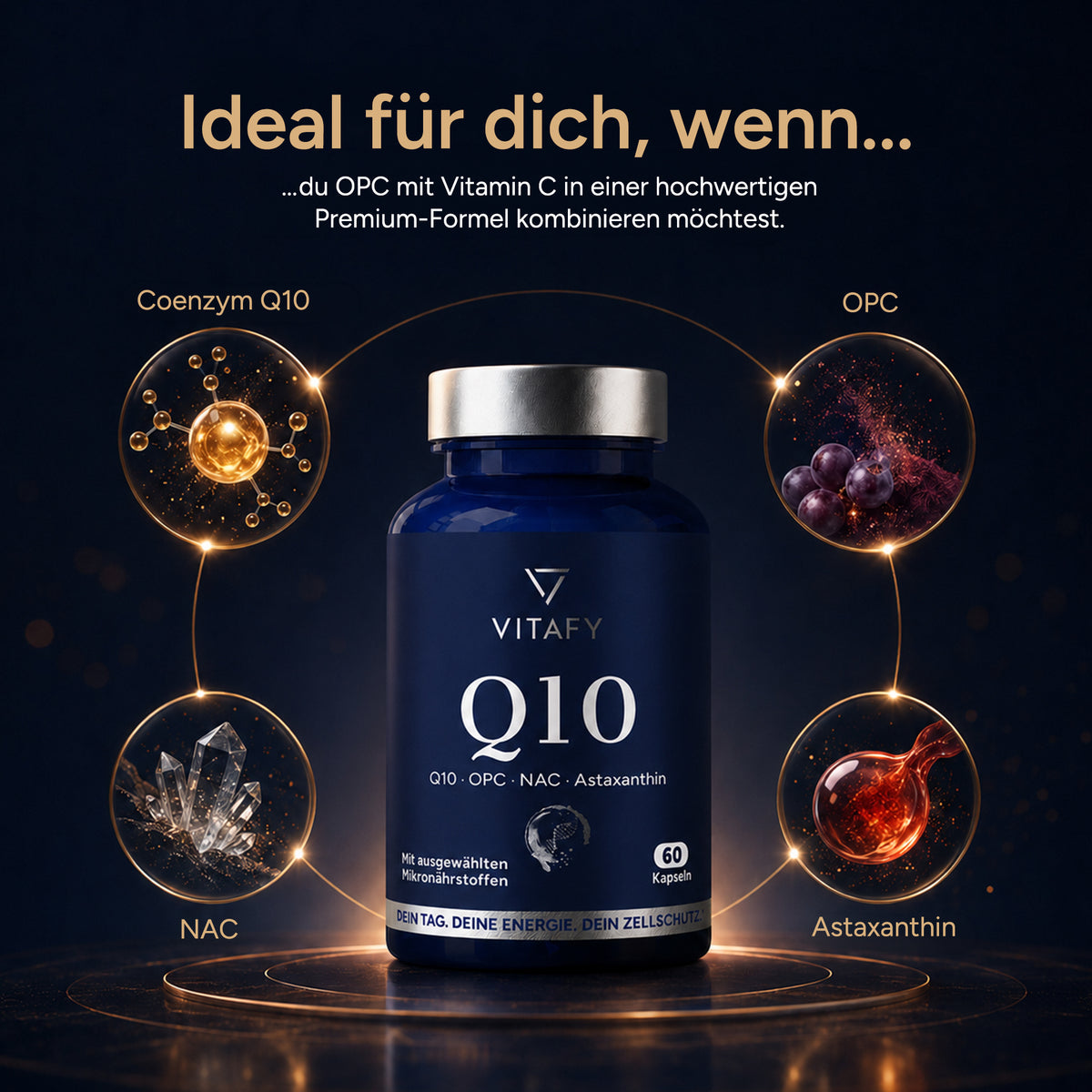 Q10 Zellschutz Komplex mit OPC, NAC und Astaxanthin (60 Kapseln)