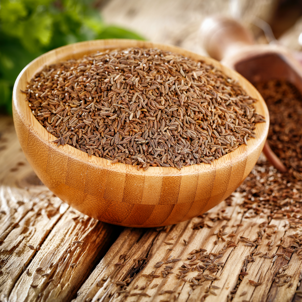 Kümmelsamen ganz Bio (1000g)