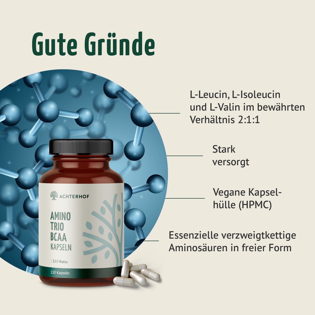 BCAA (120 Kapseln)
