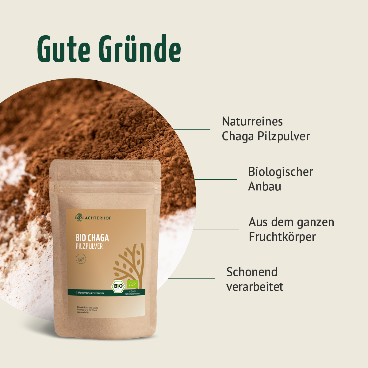 Bio Chaga Pilzpulver (100g)