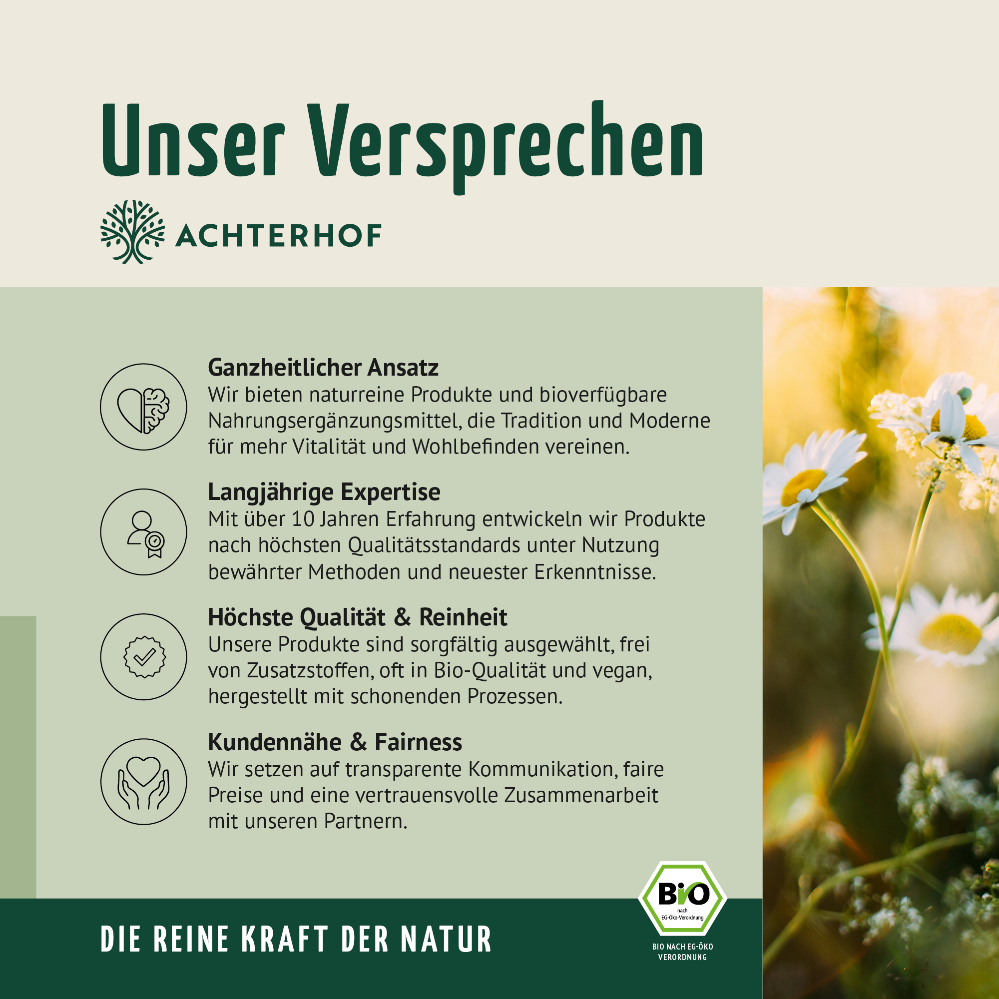 Bio Erbsenprotein Pulver (1000g)