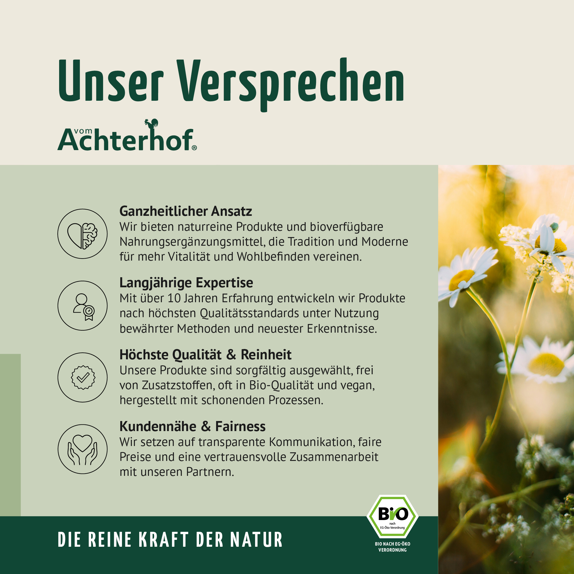 Bio Gerstengras Pulver (40g)