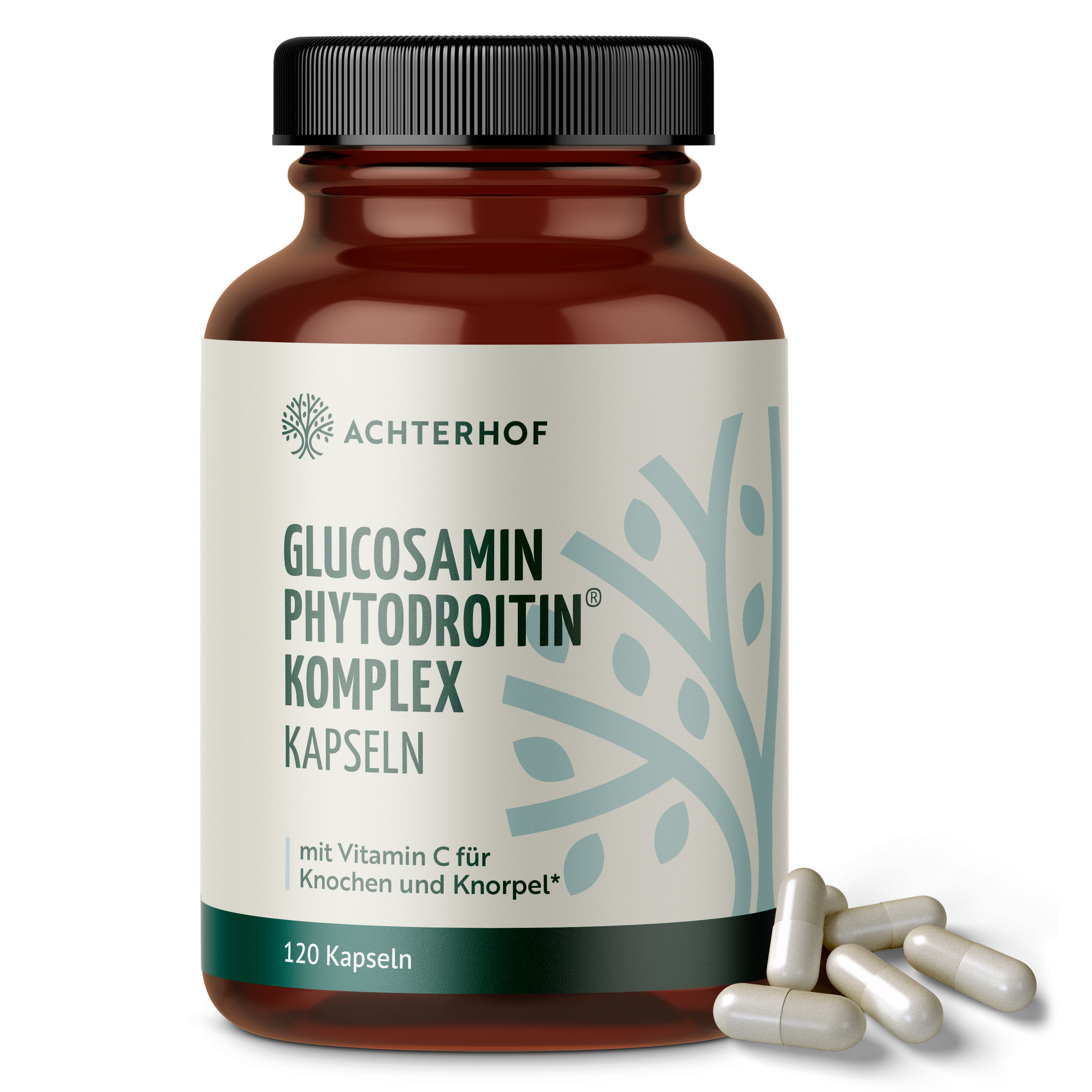 Glucosamin Phytodroitin® Komplex (120 Kapseln)