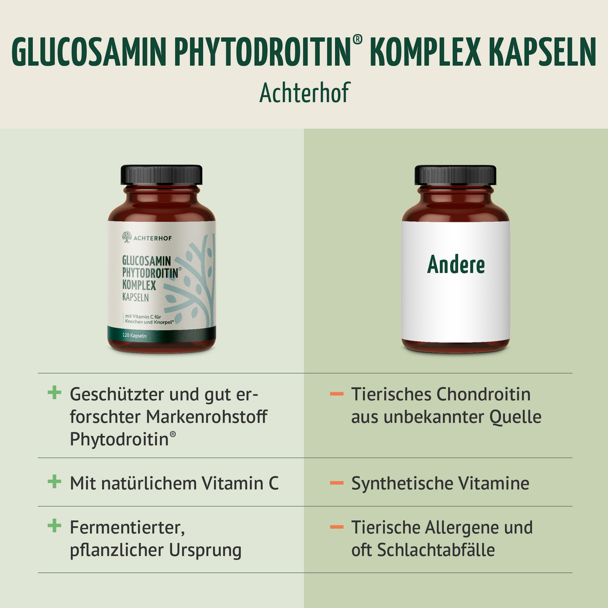 Glucosamin Phytodroitin® Komplex (120 Kapseln)