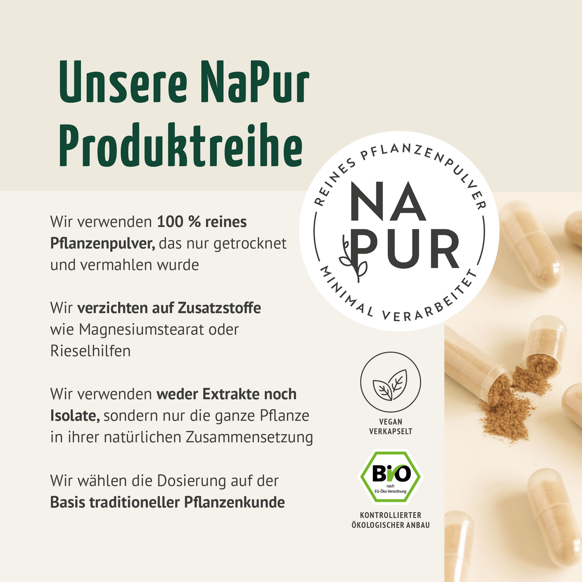 Bio Ingwer Kapseln Nachfüllpack (400 Kapseln)