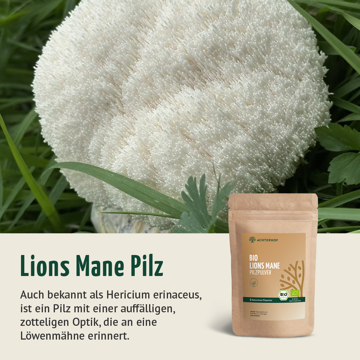 Bio Lions Mane Pilzpulver (100g)