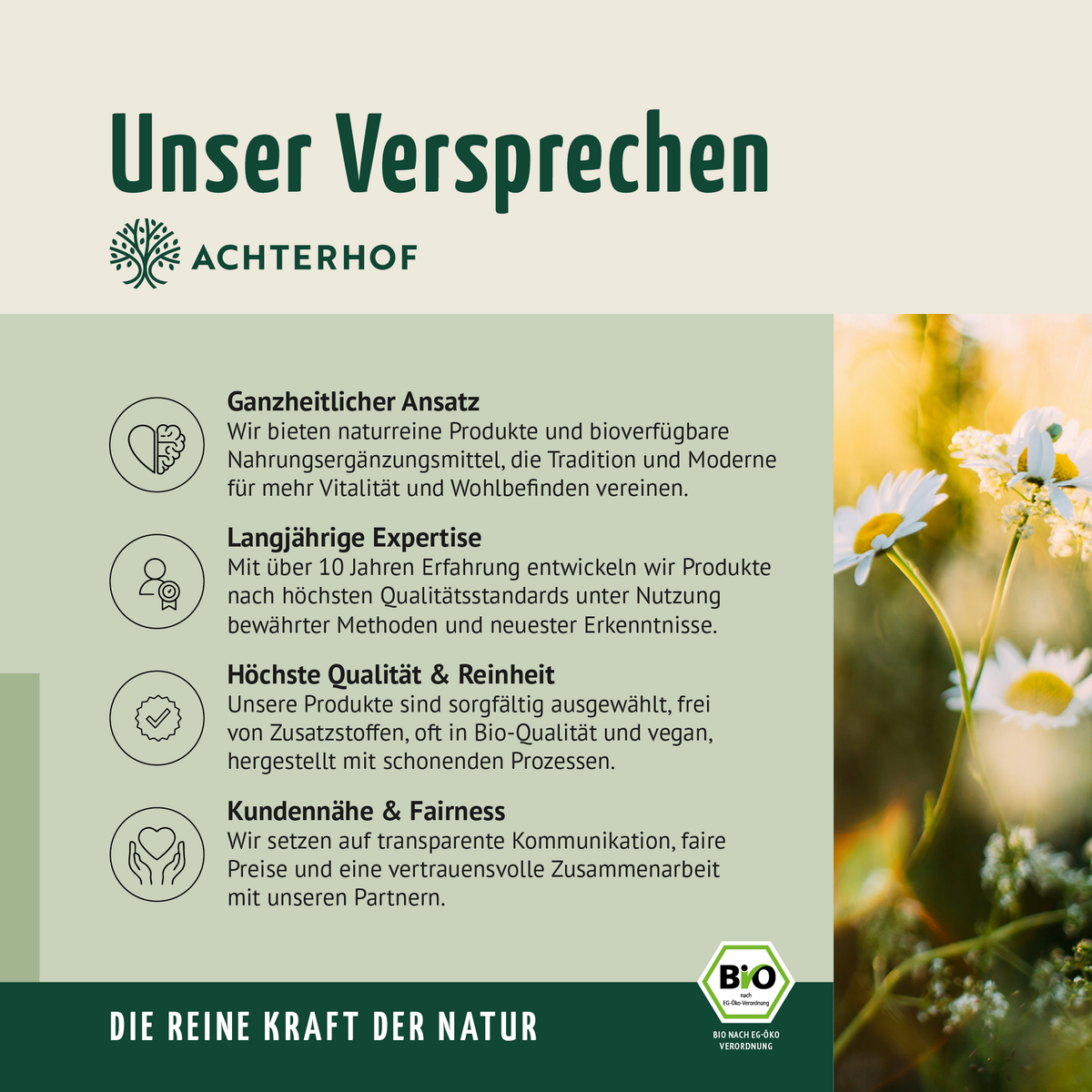 Bio Mandelprotein Pulver (250g)