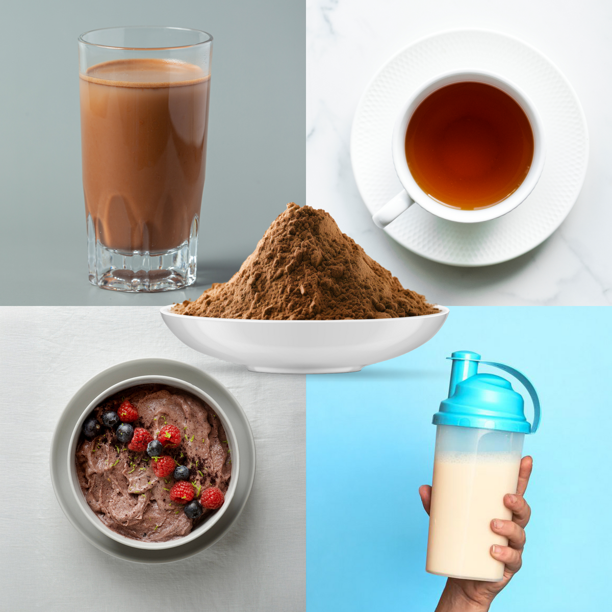 Bio Reishi Pilzpulver (100g)