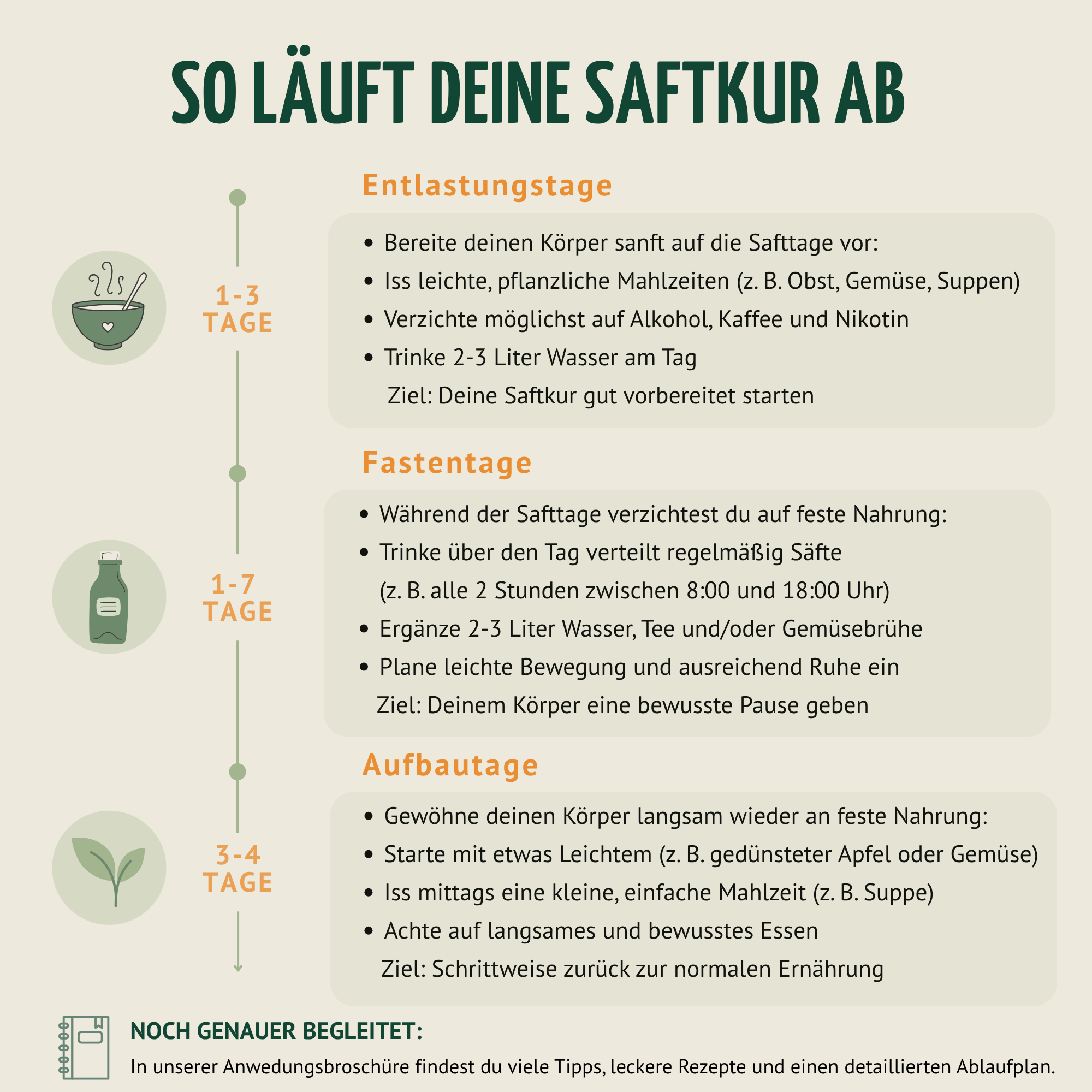 Saftzeit Bio Fastenkur 1-7 Tage (6 Flaschen pro Tag)